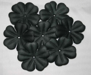 AS4E - 43mm Black Flower Petals 